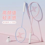 专业羽毛球拍（轻量高弹进攻型）